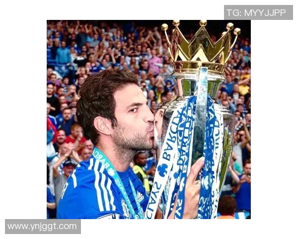 足球明星法布雷加斯的辉煌职业生涯与对足球的热爱之路 足球明星法布雷加斯的辉煌职业生涯与对足球的热爱之路