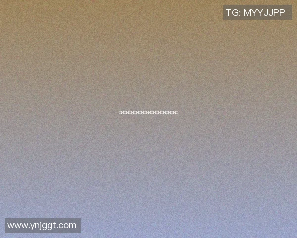 摩托罗拉篮球明星闪耀赛场展现激情与实力的完美结合